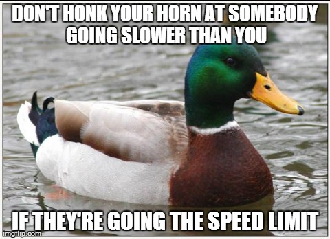 Actual Advice Mallard Meme | DON'T HONK YOUR HORN AT SOMEBODY GOING SLOWER THAN YOU IF THEY'RE GOING THE SPEED LIMIT | image tagged in memes,actual advice mallard,AdviceAnimals | made w/ Imgflip meme maker