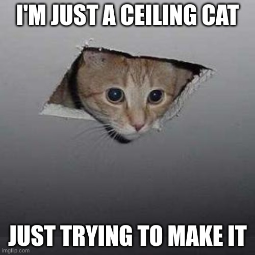 Ceiling Cat | I'M JUST A CEILING CAT; JUST TRYING TO MAKE IT | image tagged in memes,ceiling cat | made w/ Imgflip meme maker