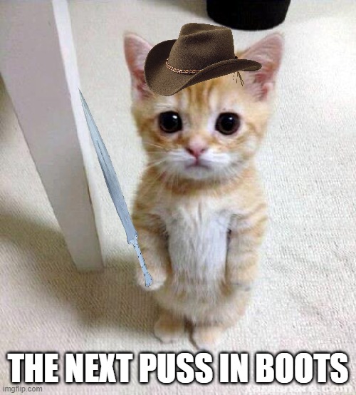 puss in boots jr | THE NEXT PUSS IN BOOTS | image tagged in memes,cute cat | made w/ Imgflip meme maker