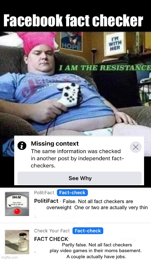 Facebook fact checker; False. Not all fact checkers are overweight  One or two are actually very thin; Partly false. Not all fact checkers play video games in their moms basement.  
A couple actually have jobs. | image tagged in politics lol,memes,facebook,facts | made w/ Imgflip meme maker