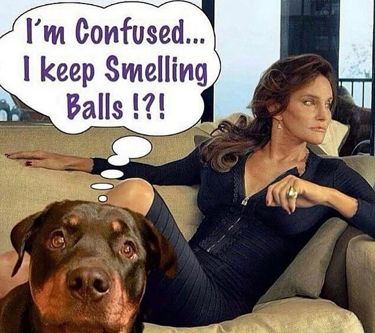 I've got news for you Brucie. You're ALWAYS gonna smell like BALLS! | image tagged in brucaitlyn jenner,balls,blue balls,bruce jenner,caitlyn jenner,tired of hearing about transgenders | made w/ Imgflip meme maker