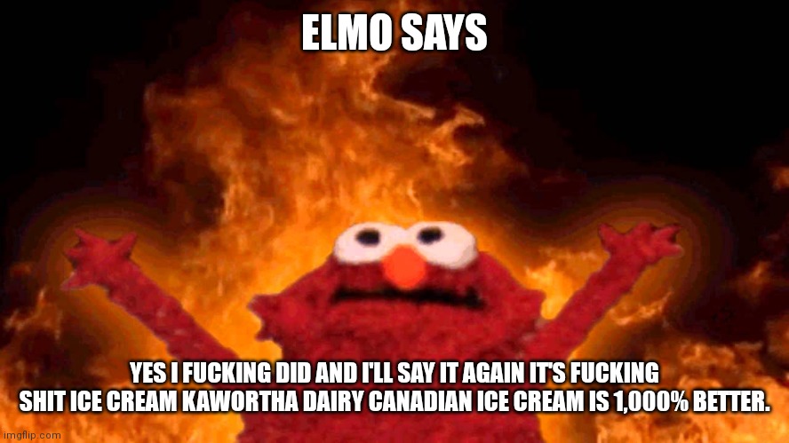 elmo fire | ELMO SAYS YES I FUCKING DID AND I'LL SAY IT AGAIN IT'S FUCKING SHIT ICE CREAM KAWORTHA DAIRY CANADIAN ICE CREAM IS 1,000% BETTER. | image tagged in elmo fire | made w/ Imgflip meme maker