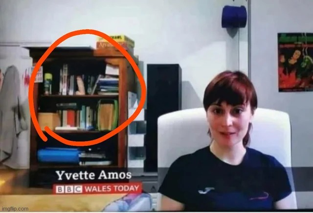 image tagged in yes i stole it from reddit,dildo | made w/ Imgflip meme maker