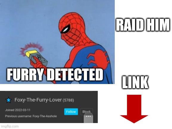 RAID HIM; LINK; FURRY DETECTED | image tagged in anti furry,spiderman detector,ha ha tags go brr | made w/ Imgflip meme maker