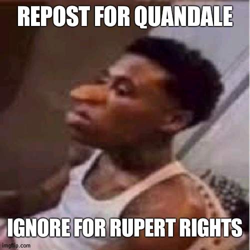 QUANDALE | REPOST FOR QUANDALE; IGNORE FOR RUPERT RIGHTS | image tagged in quandale | made w/ Imgflip meme maker