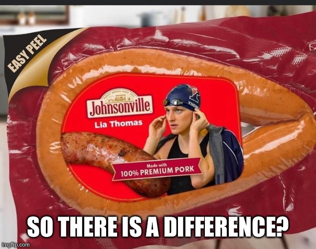 Women in sports | SO THERE IS A DIFFERENCE? | image tagged in women in sports,fun,meme | made w/ Imgflip meme maker