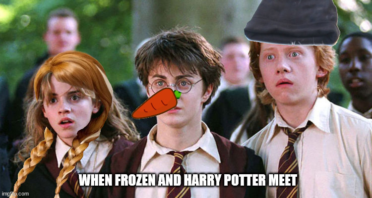 When Harry Potter meets Frozen | WHEN FROZEN AND HARRY POTTER MEET | image tagged in funny harry potter | made w/ Imgflip meme maker