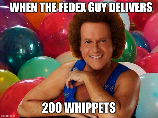 n2000000000000 | WHEN THE FEDEX GUY DELIVERS; 200 WHIPPETS | image tagged in richard simmons celebration | made w/ Imgflip meme maker