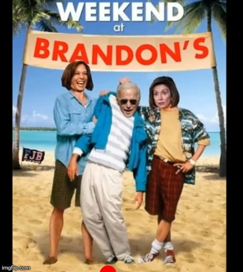 Not mine | image tagged in funny memes | made w/ Imgflip meme maker