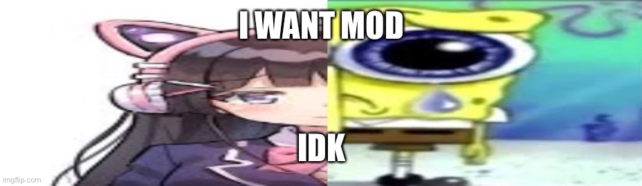 lol | I WANT MOD; IDK | image tagged in lol | made w/ Imgflip meme maker