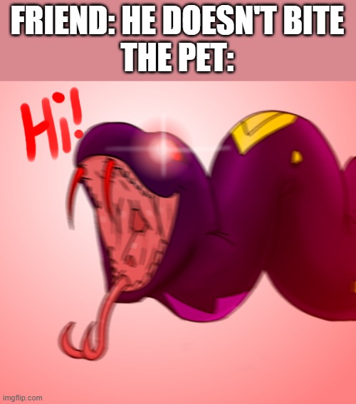 I'm now afraid. :scaredface: | FRIEND: HE DOESN'T BITE
THE PET: | made w/ Imgflip meme maker