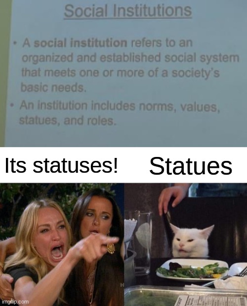 Its statuses! Statues | image tagged in memes,woman yelling at cat | made w/ Imgflip meme maker