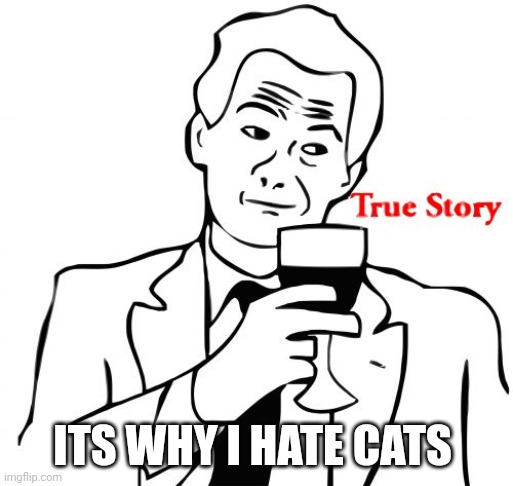 True Story Meme | ITS WHY I HATE CATS | image tagged in memes,true story | made w/ Imgflip meme maker
