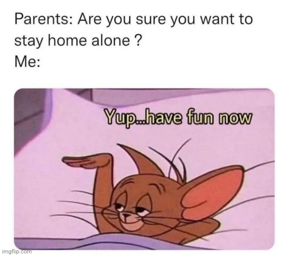 image tagged in funny memes | made w/ Imgflip meme maker