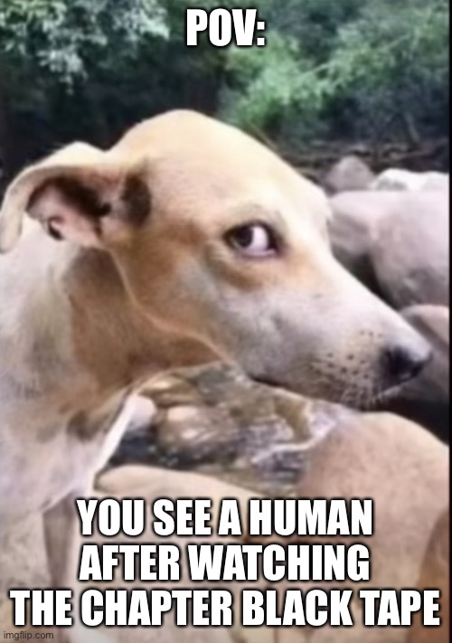 Dog reaction | POV:; YOU SEE A HUMAN AFTER WATCHING THE CHAPTER BLACK TAPE | image tagged in dog reaction,anime meme | made w/ Imgflip meme maker