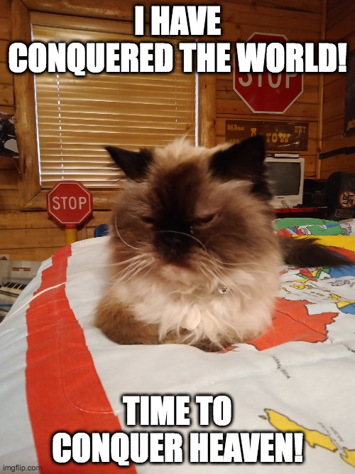 Violence conquers the world | I HAVE CONQUERED THE WORLD! TIME TO CONQUER HEAVEN! | image tagged in violence | made w/ Imgflip meme maker