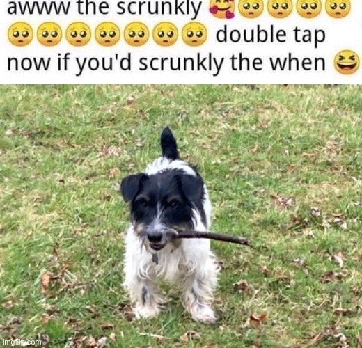 I post my dog agian cuz I think it got buried | made w/ Imgflip meme maker