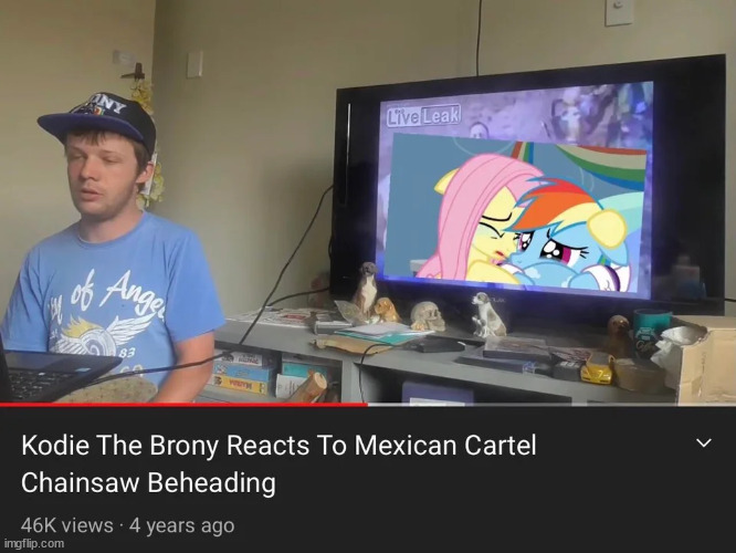 Greatest reaction of all time | image tagged in kodie the brony | made w/ Imgflip meme maker