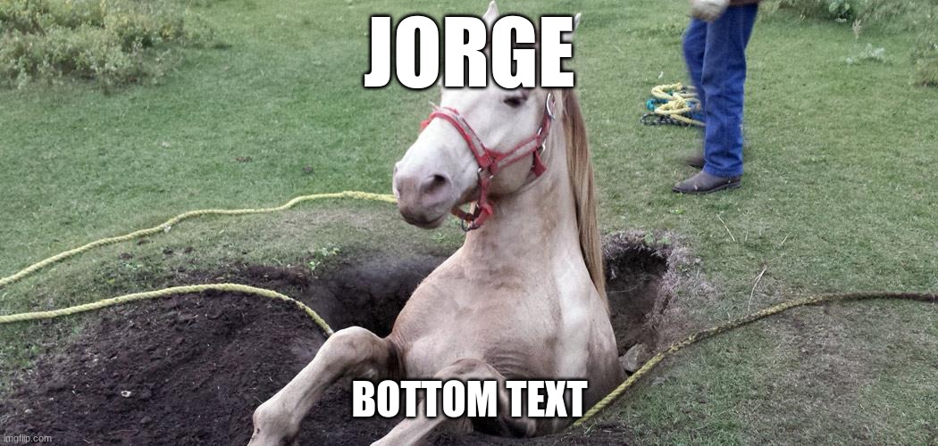 jorge | JORGE; BOTTOM TEXT | image tagged in jorge | made w/ Imgflip meme maker