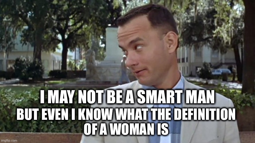 Ketanji better check her birthday suit to answer the question | I MAY NOT BE A SMART MAN; BUT EVEN I KNOW WHAT THE DEFINITION 
OF A WOMAN IS | image tagged in forrest gump face,ketanji | made w/ Imgflip meme maker