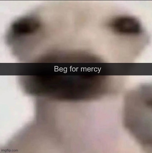 Beg for mercy Blank Meme Template