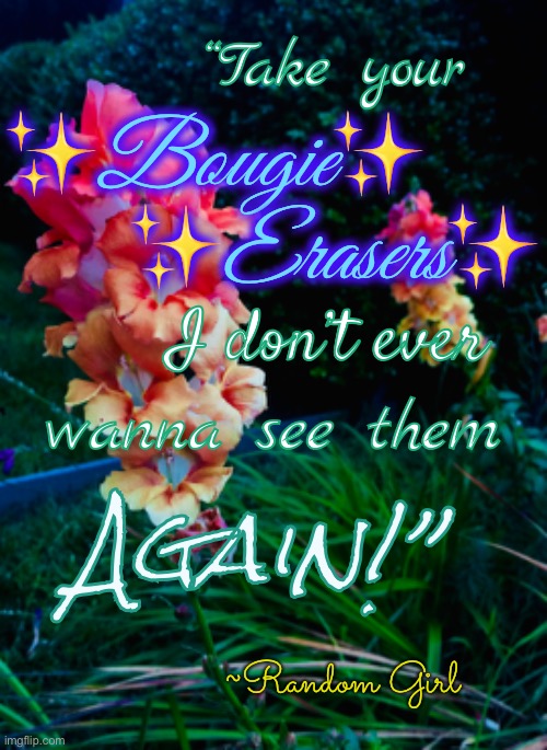 I didn’t have any connect either |  “Take your; ✨Bougie✨     
     ✨Erasers✨; I don’t ever; wanna see them; Again!”; ~Random Girl | image tagged in bougie erasers,funny | made w/ Imgflip meme maker