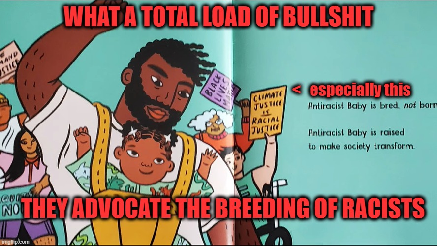 WHAT A TOTAL LOAD OF BULLSHIT | WHAT A TOTAL LOAD OF BULLSHIT; <   especially this; THEY ADVOCATE THE BREEDING OF RACISTS | image tagged in bullshit,crt | made w/ Imgflip meme maker