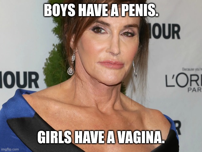Bruce Jenner, Woman of the Year | BOYS HAVE A PENIS. GIRLS HAVE A VAGINA. | image tagged in bruce jenner woman of the year | made w/ Imgflip meme maker