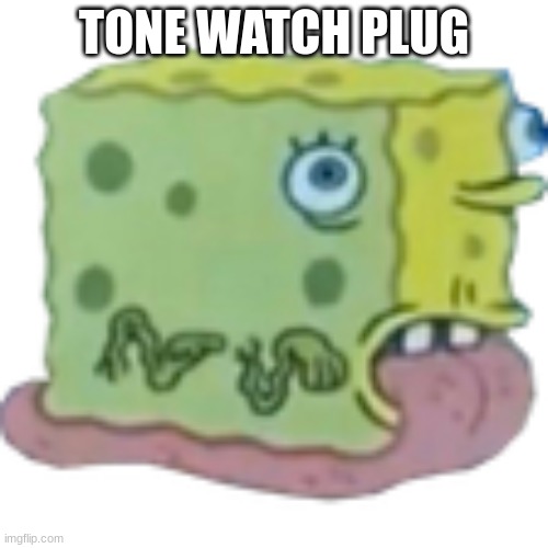 Asoingbob Snal | TONE WATCH PLUG | image tagged in asoingbob snal | made w/ Imgflip meme maker