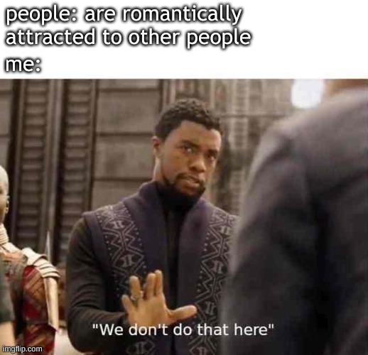 we dont do that here | people: are romantically attracted to other people; me: | image tagged in we dont do that here,aroace,aromantic,lgbtq | made w/ Imgflip meme maker