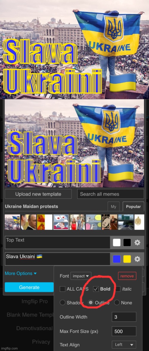 Slava Ukraini ?? | image tagged in ukraine maidan protests | made w/ Imgflip meme maker