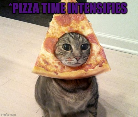 Give pizza | *PIZZA TIME INTENSIFIES | image tagged in pizza cat,pizza time | made w/ Imgflip meme maker