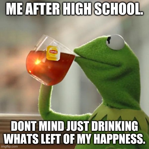 What you do after high school | ME AFTER HIGH SCHOOL. DONT MIND JUST DRINKING WHATS LEFT OF MY HAPPNESS. | image tagged in memes,but that's none of my business,kermit the frog | made w/ Imgflip meme maker