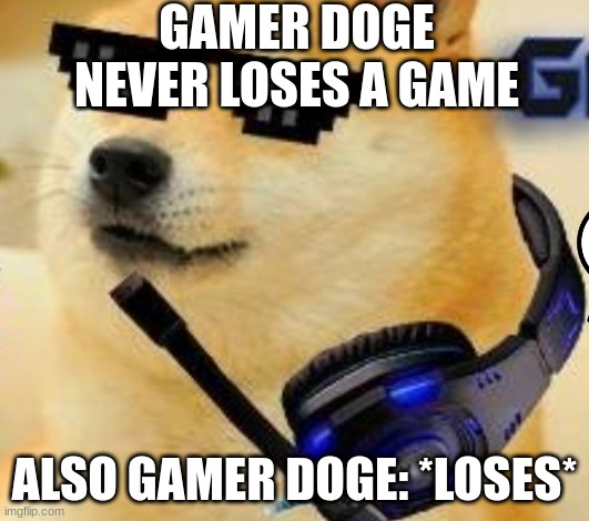 gamer doge | GAMER DOGE NEVER LOSES A GAME; ALSO GAMER DOGE: *LOSES* | image tagged in gamer doge | made w/ Imgflip meme maker