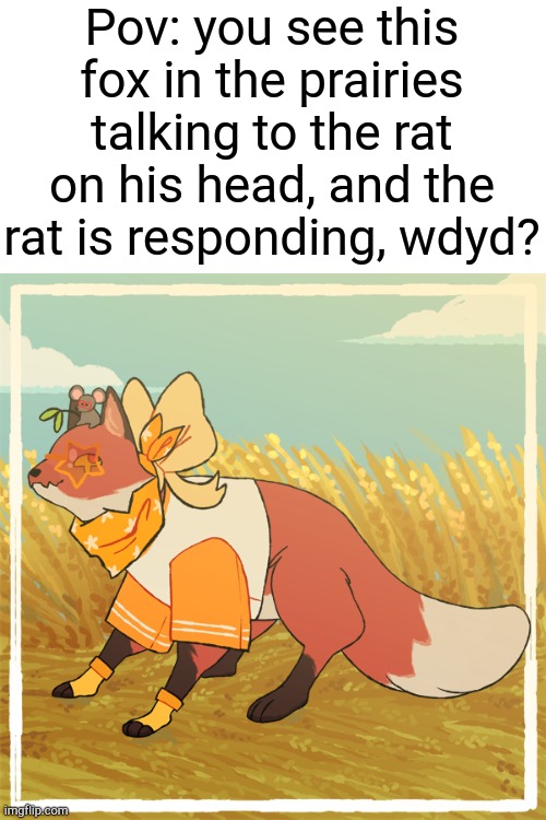 (NO joke, bambi, erp, or romance) | Pov: you see this fox in the prairies talking to the rat on his head, and the rat is responding, wdyd? | image tagged in fox | made w/ Imgflip meme maker
