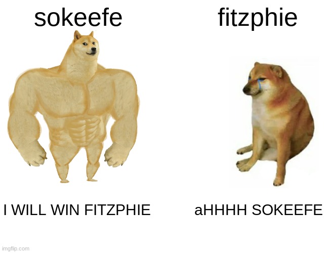 Buff Doge vs. Cheems | sokeefe; fitzphie; I WILL WIN FITZPHIE; aHHHH SOKEEFE | image tagged in kotlc,keeper of the lost cities | made w/ Imgflip meme maker