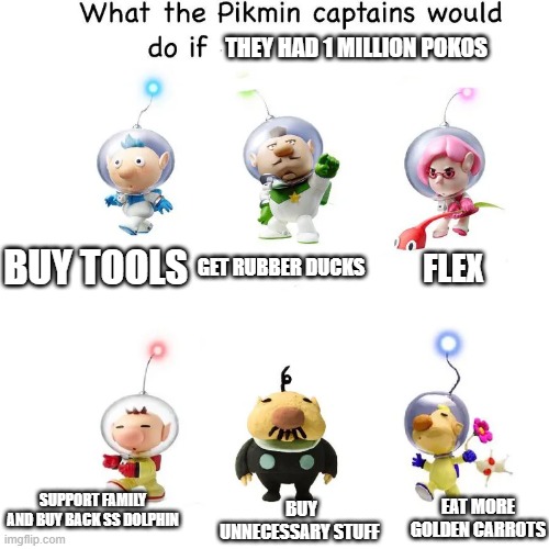 Pikmin captians | THEY HAD 1 MILLION POKOS; BUY TOOLS; GET RUBBER DUCKS; FLEX; SUPPORT FAMILY AND BUY BACK SS DOLPHIN; EAT MORE GOLDEN CARROTS; BUY UNNECESSARY STUFF | image tagged in fun | made w/ Imgflip meme maker