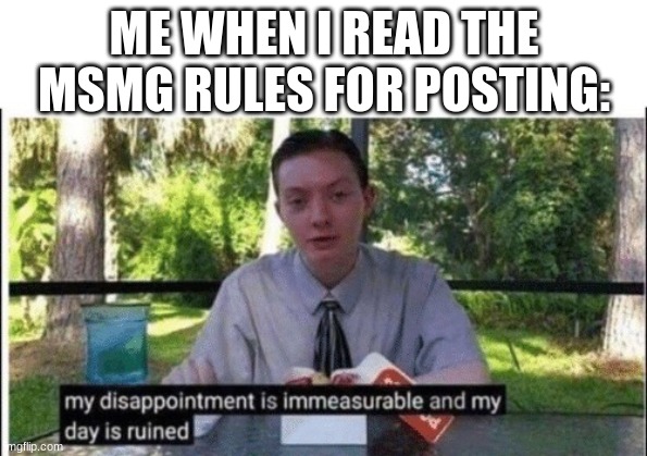 W H Y | ME WHEN I READ THE MSMG RULES FOR POSTING: | image tagged in my dissapointment is immeasurable and my day is ruined | made w/ Imgflip meme maker