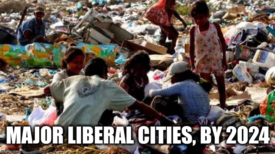 MAJOR LIBERAL CITIES, BY 2024 | made w/ Imgflip meme maker