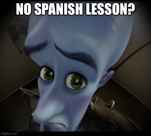 Megamind peeking | NO SPANISH LESSON? | image tagged in no bitches | made w/ Imgflip meme maker