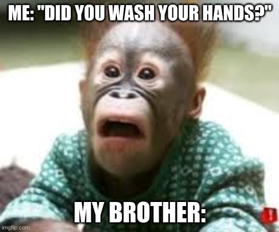 monkeys | ME: "DID YOU WASH YOUR HANDS?"; MY BROTHER: | image tagged in surprised look | made w/ Imgflip meme maker