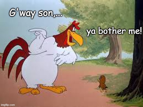 Foghorn Leghorn | G'way son,... ya bother me! | image tagged in foghorn leghorn | made w/ Imgflip meme maker