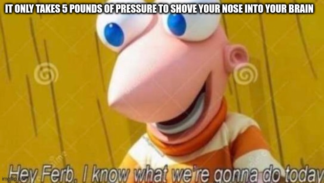 Hey Ferb | IT ONLY TAKES 5 POUNDS OF PRESSURE TO SHOVE YOUR NOSE INTO YOUR BRAIN | image tagged in hey ferb | made w/ Imgflip meme maker