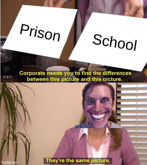 There the same thing! | Prison; School | image tagged in memes,they're the same picture | made w/ Imgflip meme maker