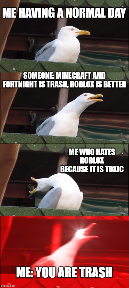 why | ME HAVING A NORMAL DAY; SOMEONE: MINECRAFT AND FORTNIGHT IS TRASH, ROBLOX IS BETTER; ME WHO HATES ROBLOX BECAUSE IT IS TOXIC; ME: YOU ARE TRASH | image tagged in memes,inhaling seagull | made w/ Imgflip meme maker