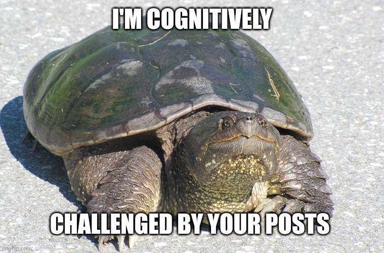 "You're Smart" | I'M COGNITIVELY CHALLENGED BY YOUR POSTS | image tagged in snapping trutle | made w/ Imgflip meme maker