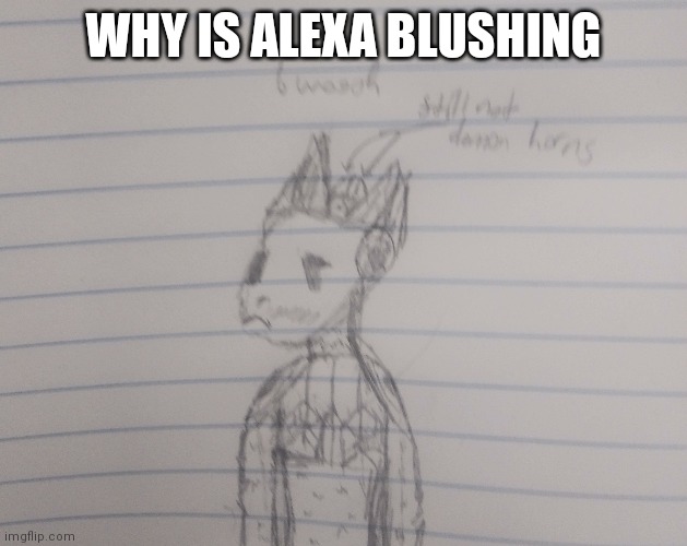 Cause why tf not | WHY IS ALEXA BLUSHING | made w/ Imgflip meme maker