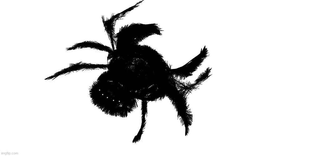 some people think i have a spider obsession | made w/ Imgflip meme maker