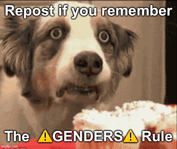 PTSD dog | Repost if you remember; The  ⚠️GENDERS⚠️ Rule | image tagged in ptsd dog | made w/ Imgflip meme maker