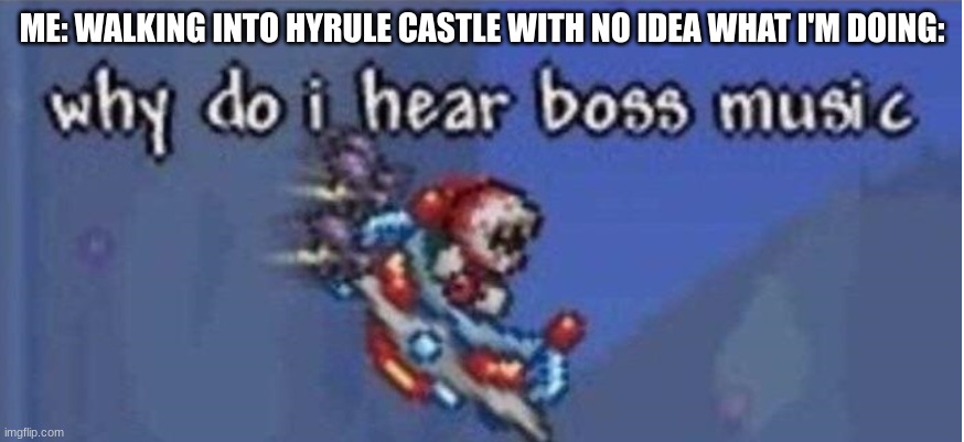 Somehow Less Stressful Then Thunderblight Ganon | ME: WALKING INTO HYRULE CASTLE WITH NO IDEA WHAT I'M DOING: | image tagged in why do i hear boss music,botw | made w/ Imgflip meme maker